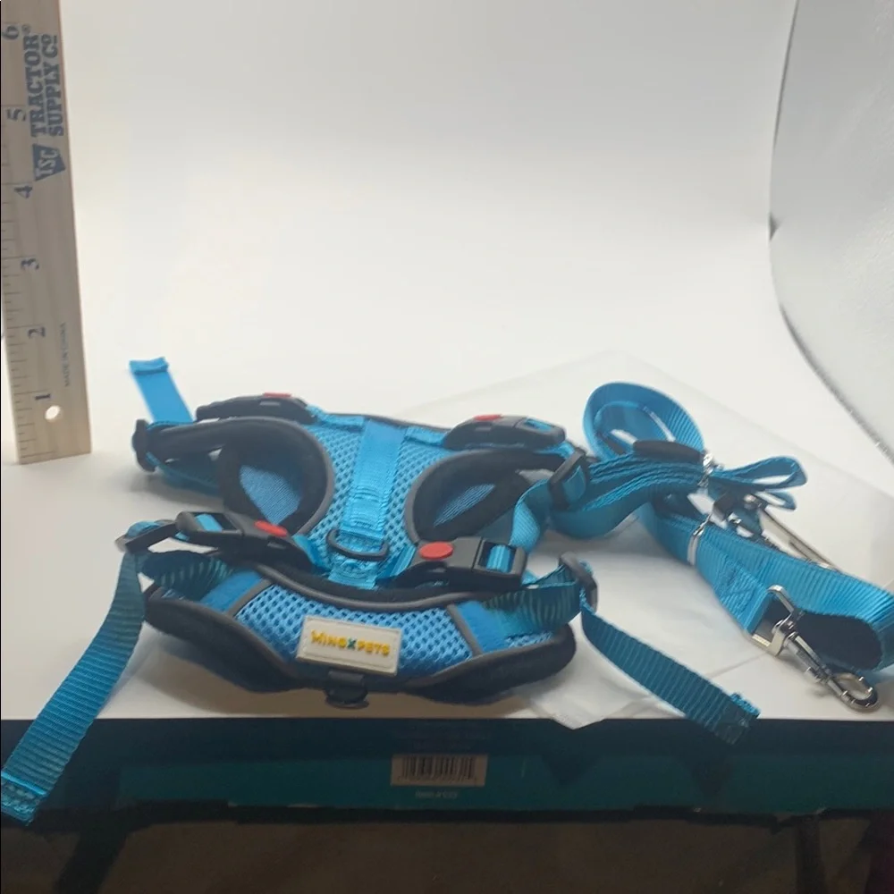Stylish Blue Cat Harness and Leash Combo
